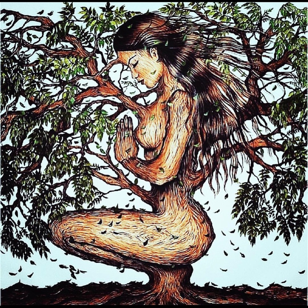 Meet your Posher, Dana